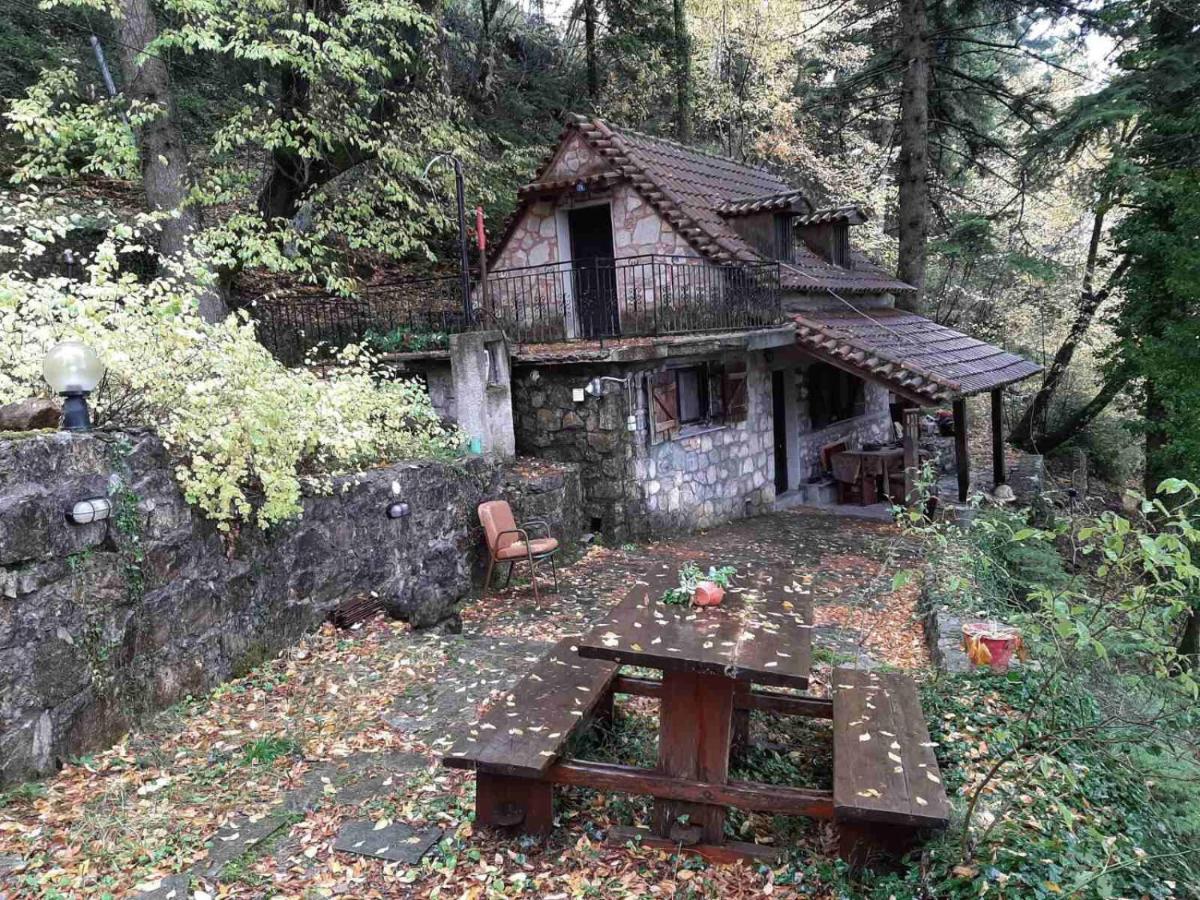 Forest House Άνω Πολύδροσος Εξωτερικό φωτογραφία